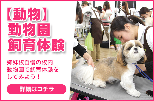 【動物】動物園飼育体験